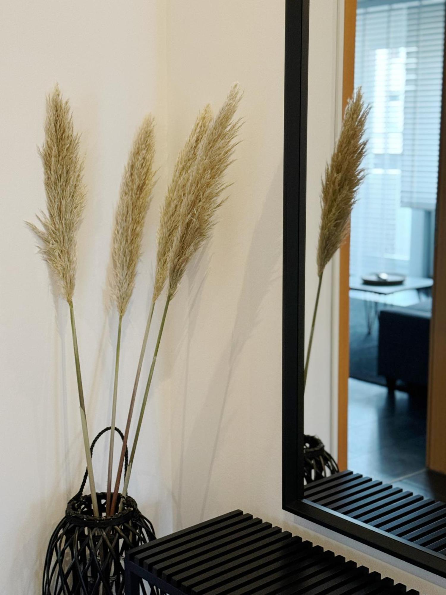 90M2 I Central I Netflix I Wifi I Free Parking I Lia Apartments ฮันโนเวอร์ ภายนอก รูปภาพ